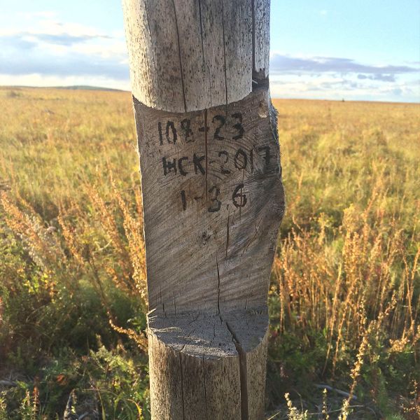 Столб лесохозяйственных мероприятий