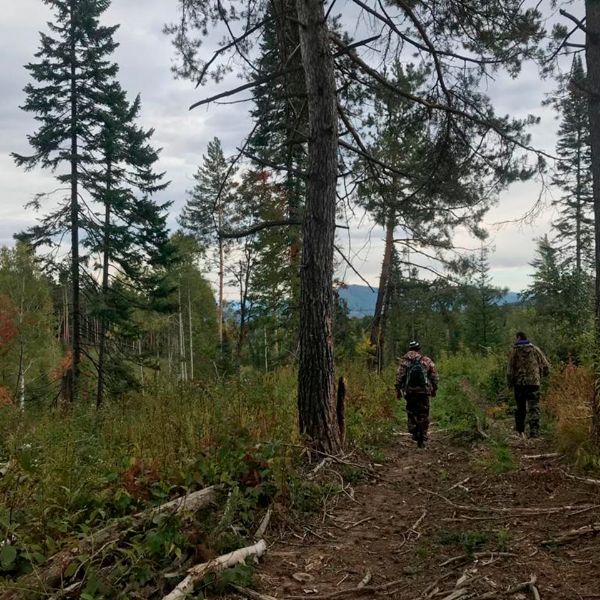 Полевое дешифрирование