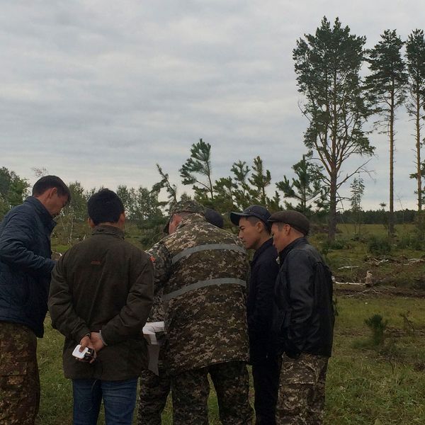 Полевое дешифрирование вырубок леса. Акмолинская область