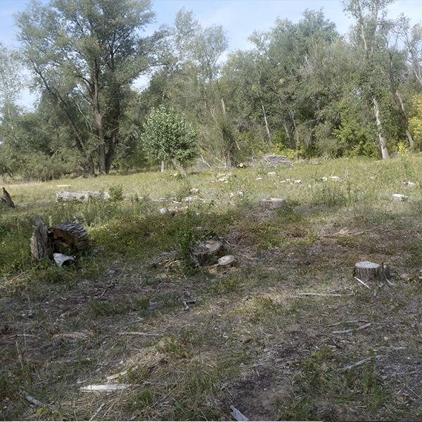 Полевые работы в ЗКО