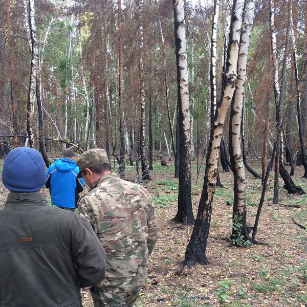 Выгоревшие участки леса. Акмолинская область